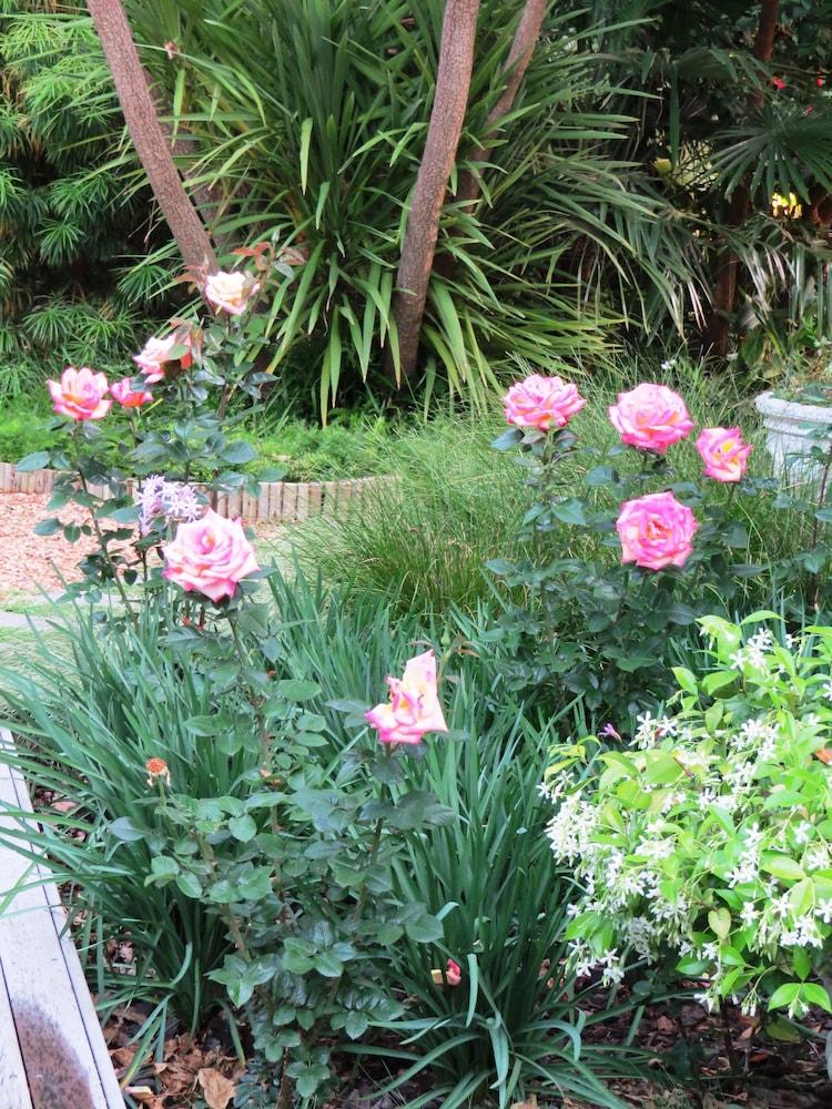 Maison Chablis Guest House Franschhoek Luaran gambar